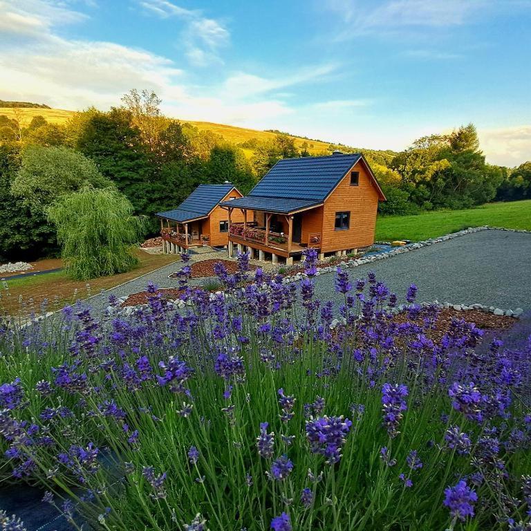 Agroturystyka Lawendowa Dolinka Domki Beskid Niski - Chambres d'hôtes Chyrowa