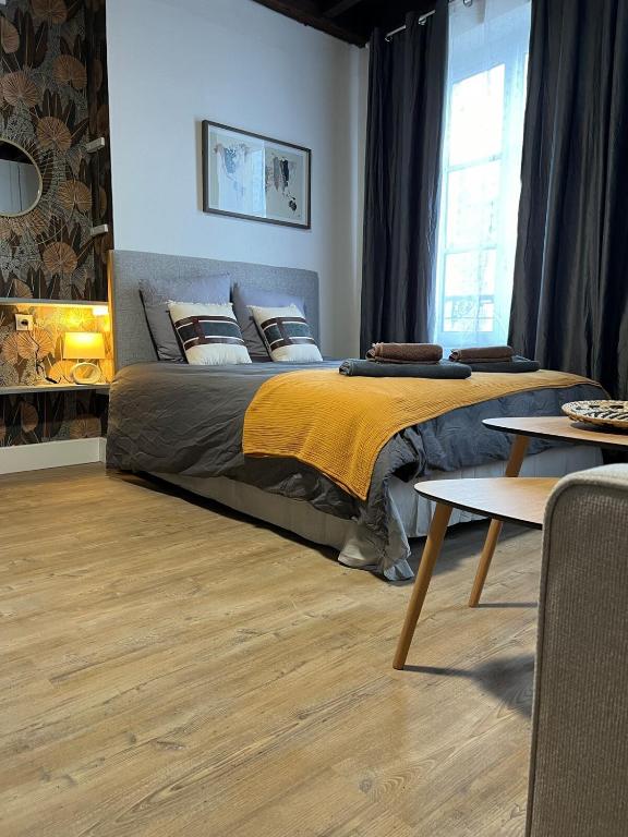 Studio Bourgogne 30 - Bed and Breakfast Orléans