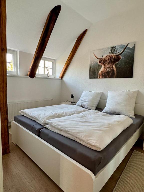 Robbe beim Ochsenturm am Deich - B&B Dingen
