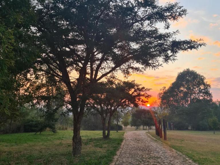 Hakunamatata Country Estate - Bed and Breakfast Muldersdrift