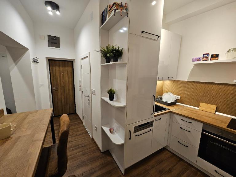 Studio 1920 - Ferienwohnung Belgrad