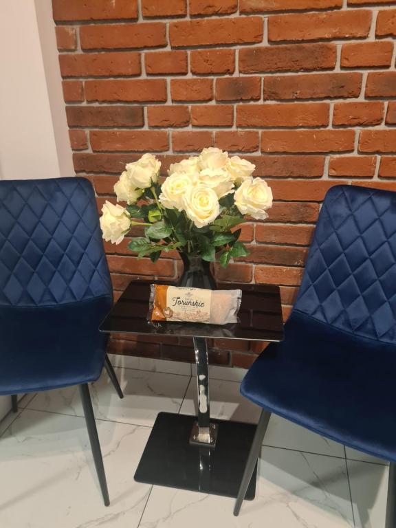 Apartament Starówka 1473 PARKING - B&B Toruń