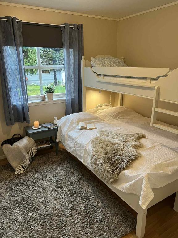 Cozy Central Apartment - Free Parking & Wifi - B&B Voss