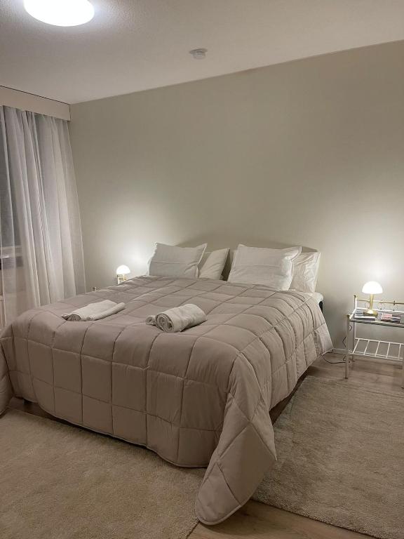 Tampere center - 2BR with sauna, free parking - Chambres d'hôtes Tampere