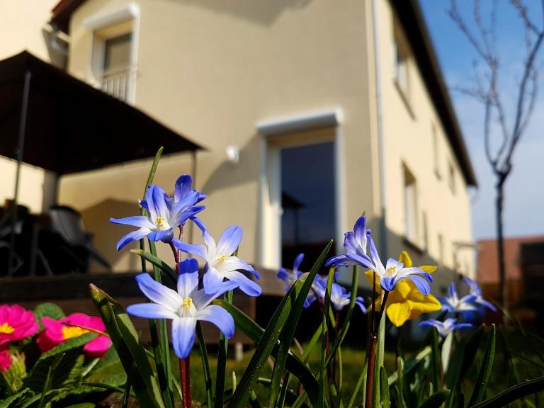 Ferienhaus Senta - B&B Haßloch