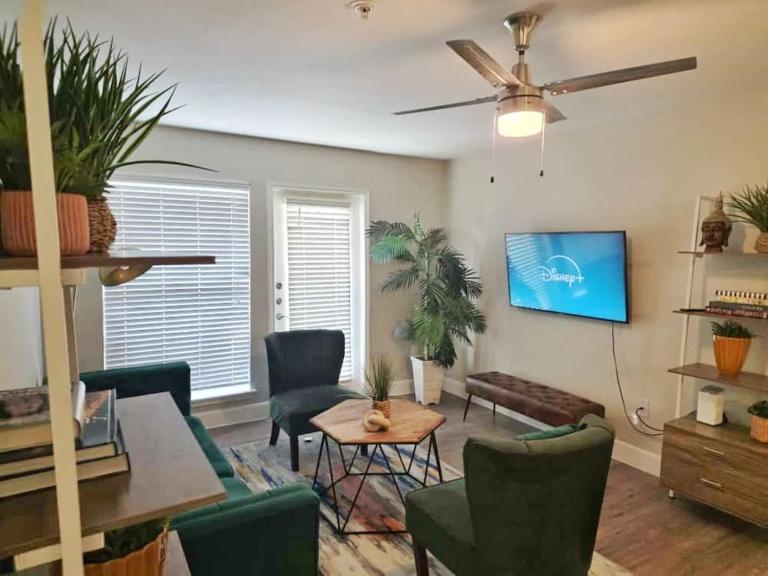 Earthy 3Bed 2Bath Apt at 5 min walk to NRG stadium - B&B Houston