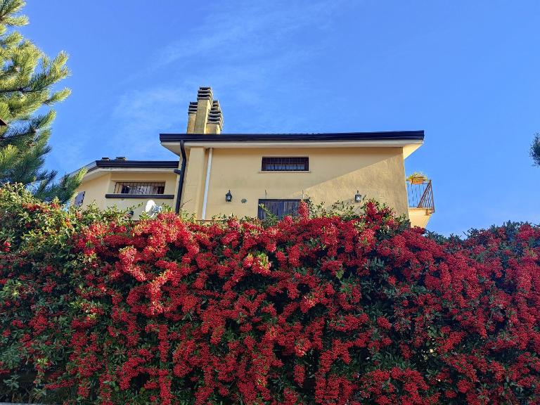 La Baita di Vincenzo - Chambres d'hôtes Castel di Sangro