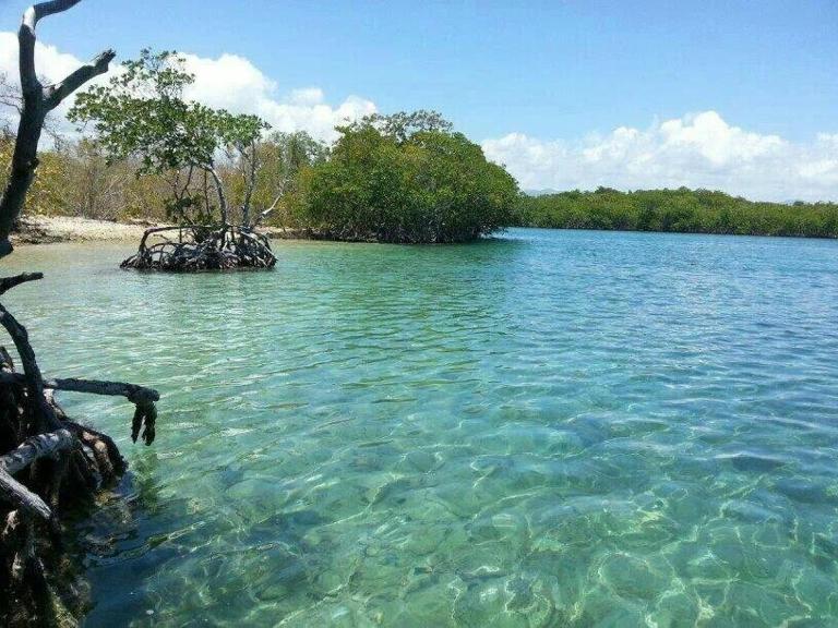 Bayoyas House Your Coastal Oasis in Salinas PR - B&B Salinas