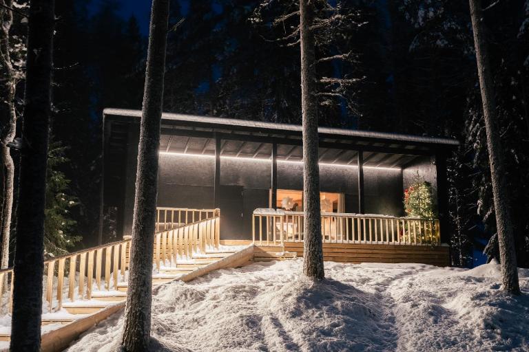 Ternu Forestvilla - B&B Rovaniemi