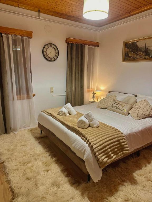 Pindus Nest - Chambres d'hôtes Metsovo