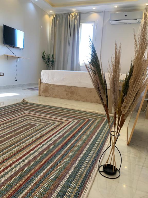 The cozy corner 512 - B&B Alessandria d'Egitto