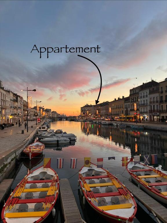 Appart cosy 4 personnes climatisé rue piétonne - Ferienwohnung Sète