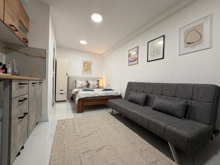 Botev MiniHub Hub 2 Modern Studio at Botev 88 - B&B Sofia