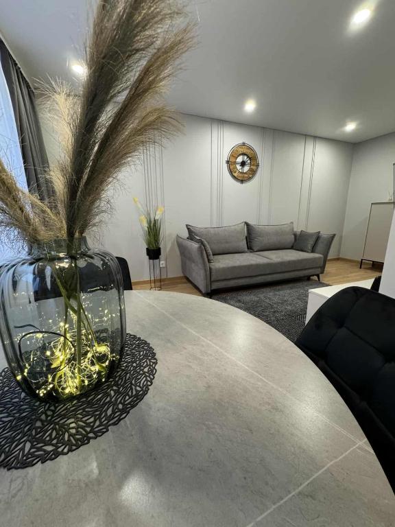Namų mūza Mačernio 51 - B&B Plungė