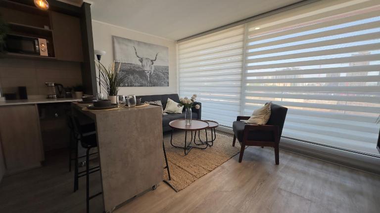 Oceana Suites Vicuña Mackenna, Ñuñoa - B&B Santiago del Cile