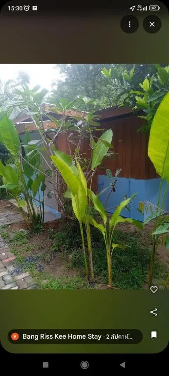 Bang risskee home stay2 - Bed and Breakfast Chian Yai