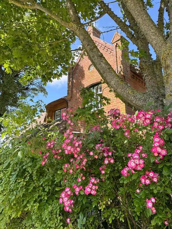 Deichschlösschen auf Pellworm - B&B Pellworm