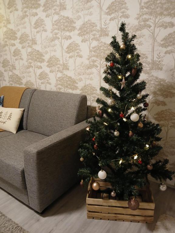 Lapland winter cottage - B&B Rovaniemi