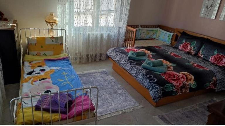Eleni's GuestHouse - B&B Ágios Vissaríonas