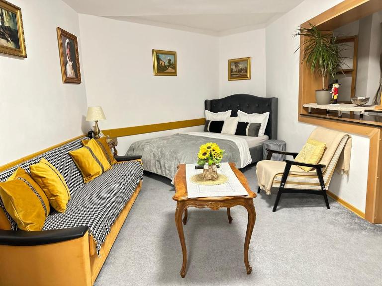 Studio - CLASSIC - - B&B Alba Iulia