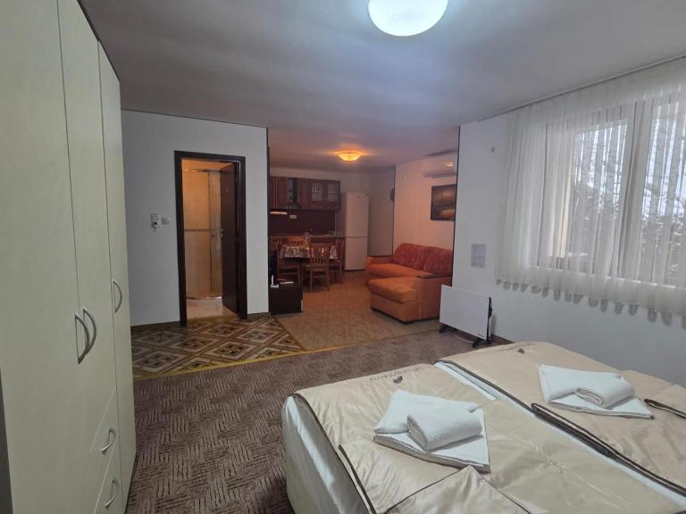 Апартамент Маунтин лодж - B&B Pamporovo