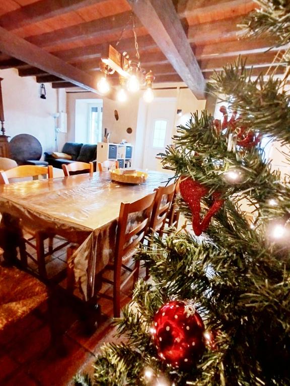 Ornolac Ariège Maison spacieuse avec jardin, idéale familles & amis - Ferienwohnung Ornolac-Ussat-les-Bains