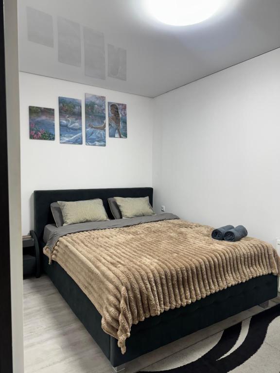 1-Confortable and ideal Apartament-Квартира посуточно Edinet - Bed and Breakfast Edineţ