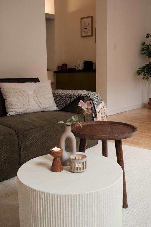 Cozy Parisian-Style Flat in Antwerp Zuid - B&B Amberes