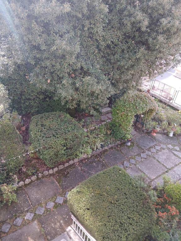 Camera matrimoniale e bagno privato Vicovaro - Ferienwohnung Vicovaro