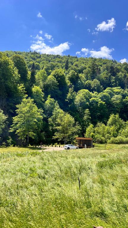 Hill de Charme - B&B Korostiv