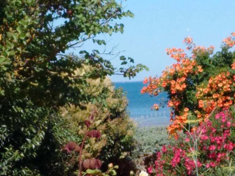 Villa de la Cible - B&B Saint-Martin-de-Ré