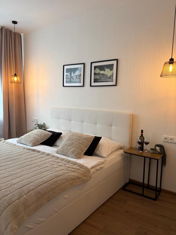 Morava apartmán 5 pro 3 osoby Uherské Hradiště - B&B Uherské Hradiště
