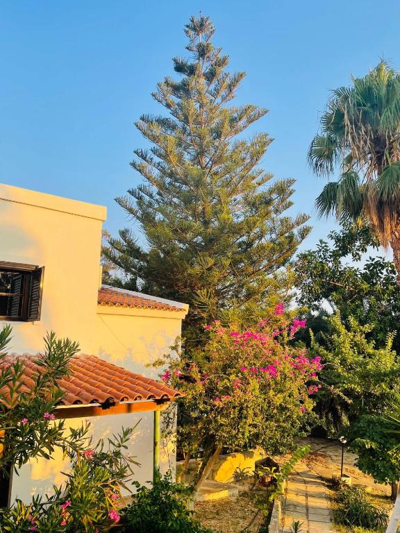Rose of Crete - Ferienwohnung Plataniás