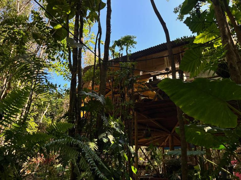 GaiaPipa ComunidArte - Bed and Breakfast Pipa