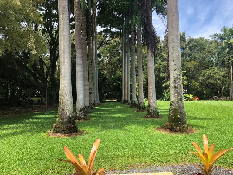 Royal Palm Cottage Hawaii - Ferienwohnung Hakalau
