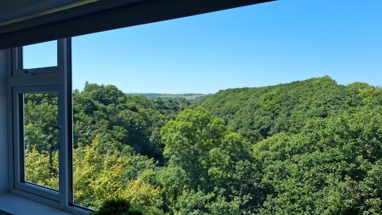 Charming tree top cottage overlooking River Teifi - B&B Cilgerran