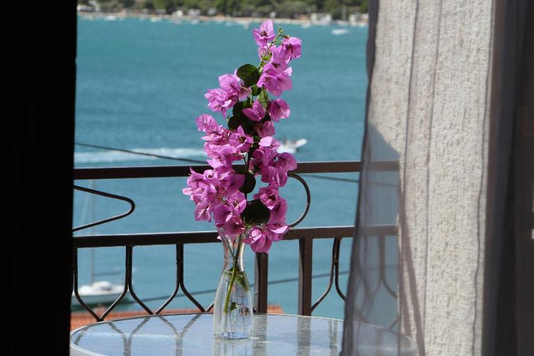 Marina Apartmani Tisno Murter - B&B Tisno