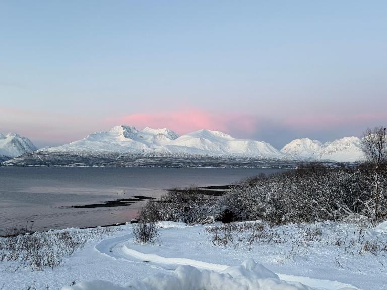 Above The Arctic circle - Bed and Breakfast Olderdalen