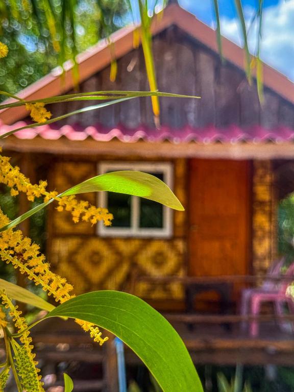 Pepee mini cafe ปีปีมินิ คาเฟ่ &โฮมสเตย์ - B&B Ban Ting Rai