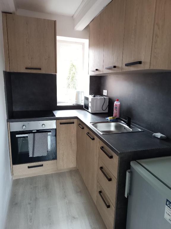Apartmány MARTIN SARVAŠ 2 - B&B Tachov