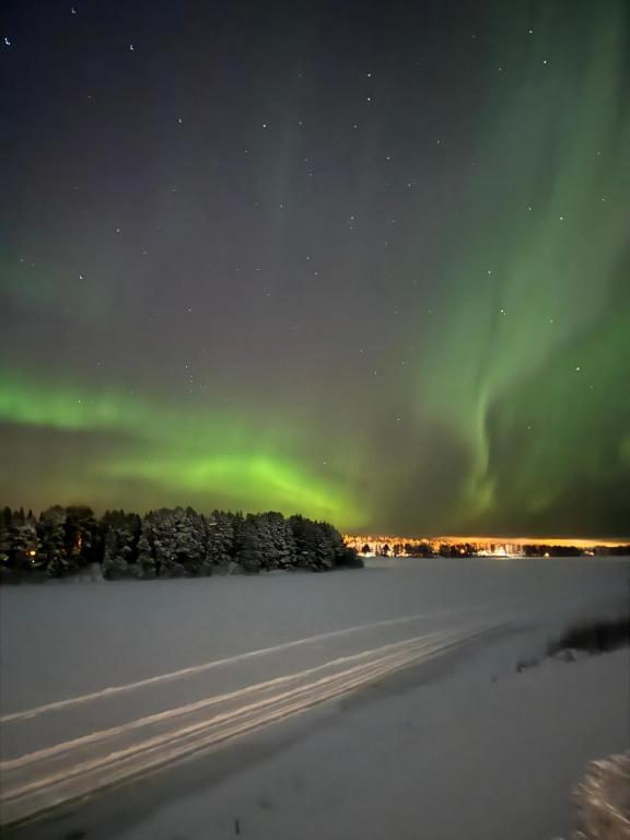 Northern Lights River Nest - Ferienwohnung Rovaniemi