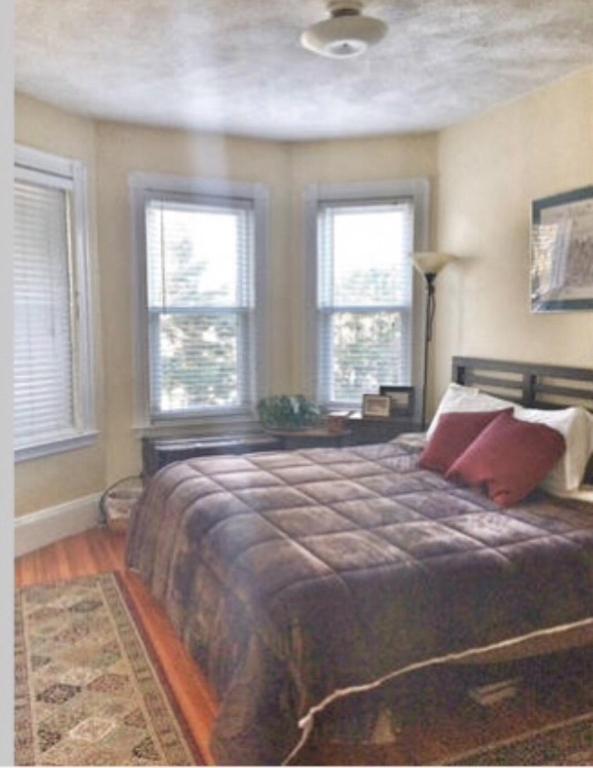 Private room MUST LOVE DOGS - B&B Boston
