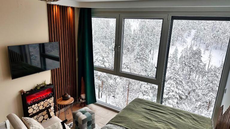 Studio Nordik - B&B Divčibare