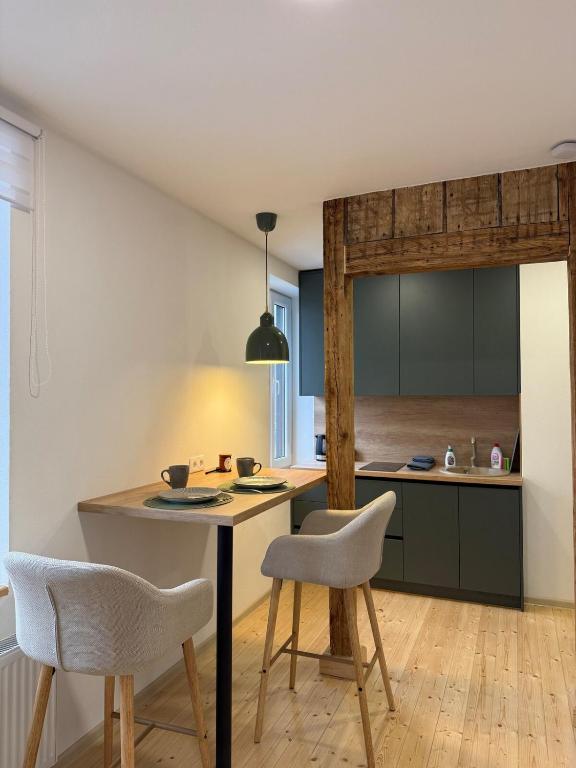 Green apartment - B&B Jelgava
