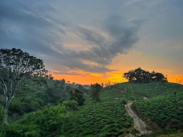 Rafters Retreat Coorg - The Riverside Homestay - Bed and Breakfast Srimangala