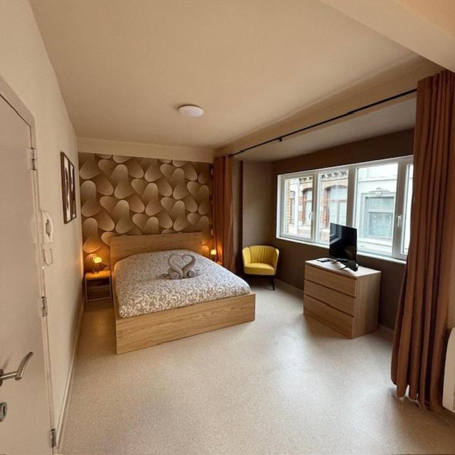 Studio balcon cozy center of Mons - B&B Mons