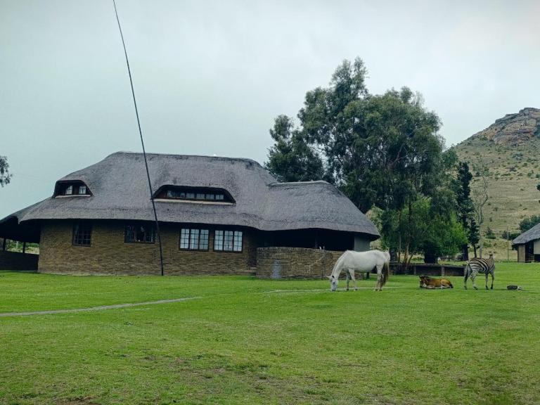 Mount Everest Guest Farm - B&B Harrismith