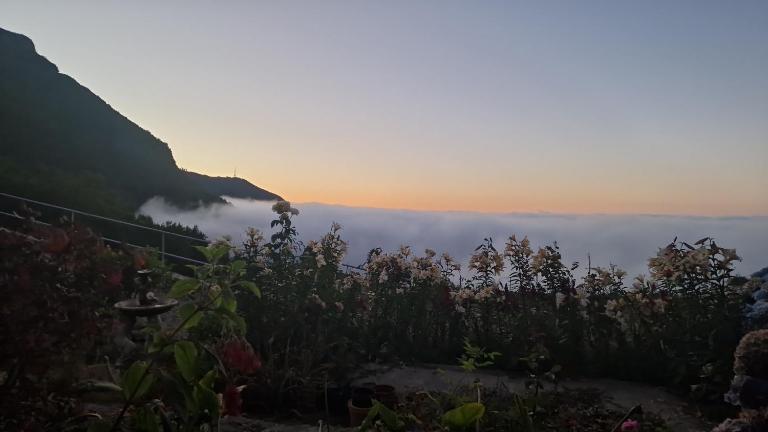 Apartament on the edge of the Teide National Park - Chambres d'hôtes Los Realejos