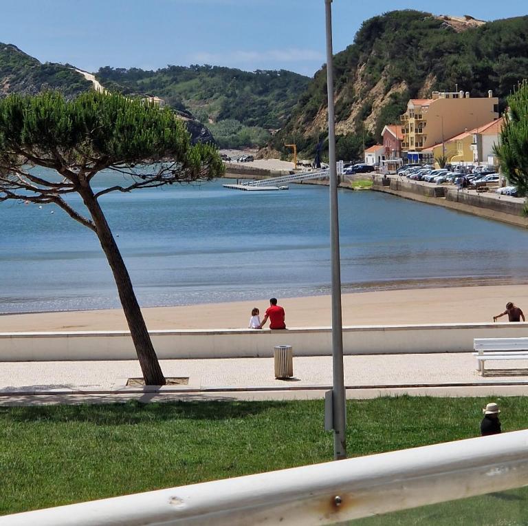 Bay House with pool 1 minute from the beach - Bed and Breakfast São Martinho do Porto