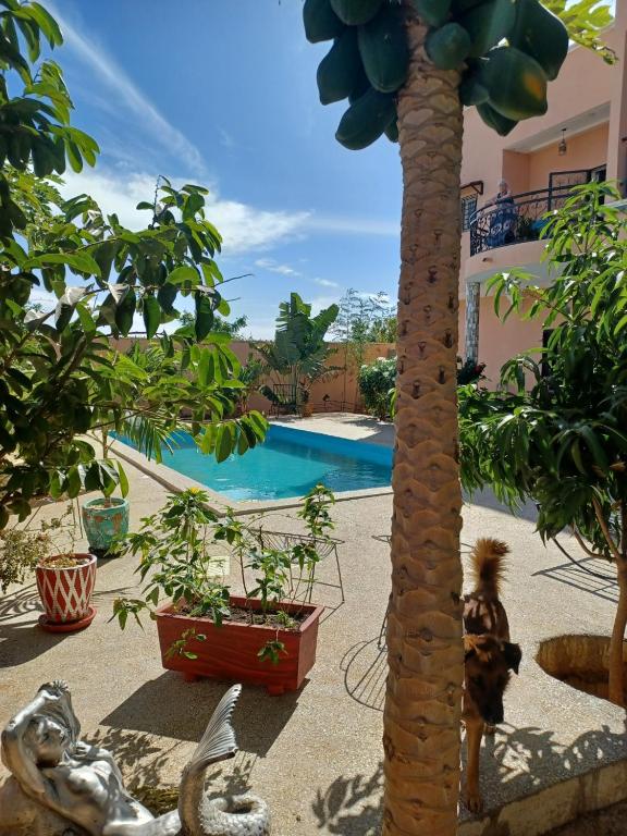 Gite de la savane - B&B Sindia